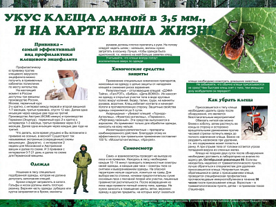 Клещевой энцефалит